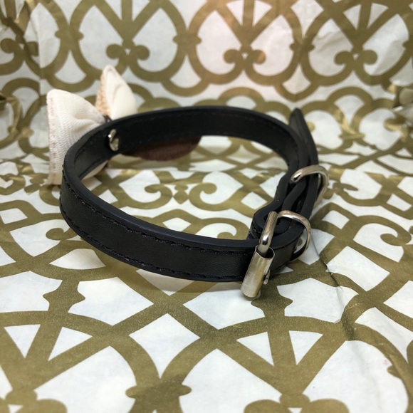 Cute and Unique Dog Collar 🐕✨ NWOT - Picture 7 of 16